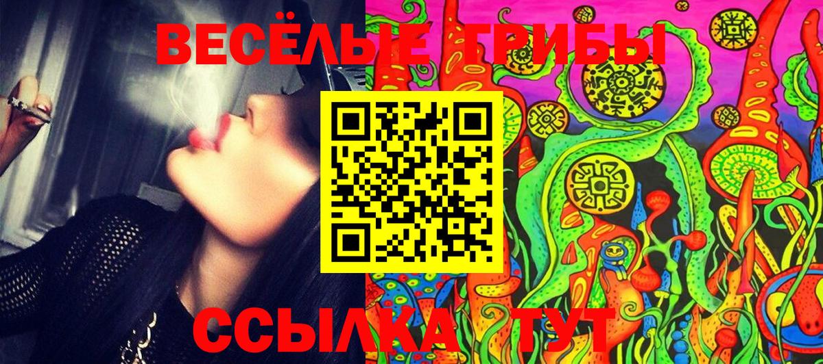 дарнет шоп  Вход с VPN  Галлюциногенные грибы MAGIC MUSHROOMS  Черкесск  Псилоцибиновые грибы Cubensis 