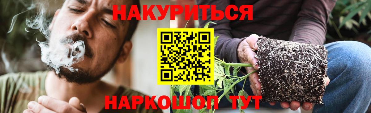 Канабис ГИДРОПОН  Каннабис OG Kush  Черкесск  Марихуана VHQ  Вход с VPN  МАРИХУАНА план 